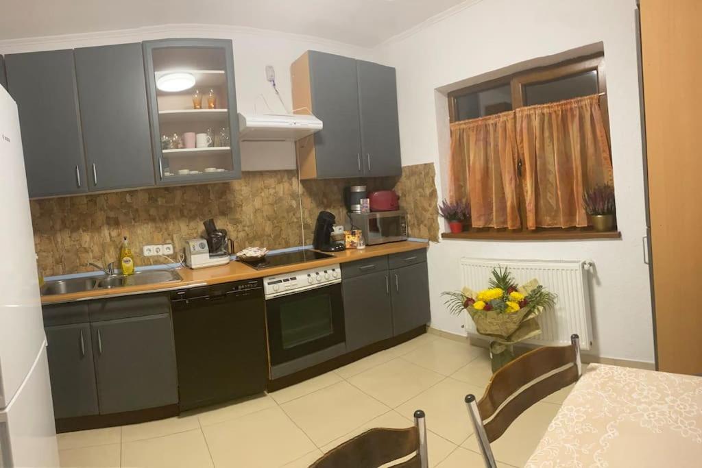 Vila Primitoare In Apropiere De Aeroport Ghiroda Luaran gambar